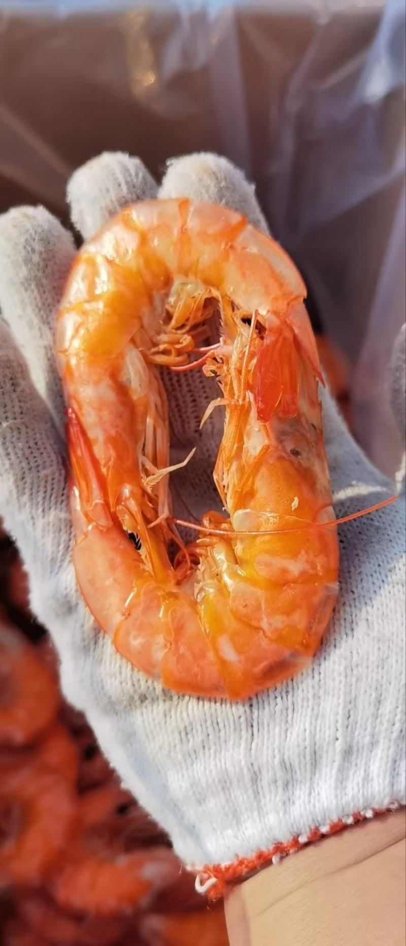精品烤虾