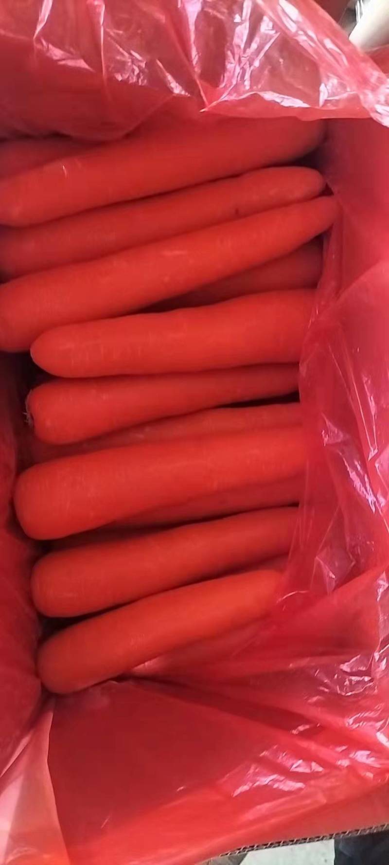 红萝卜，三红胡萝卜，一手货源，价格合理，质量好，价格优