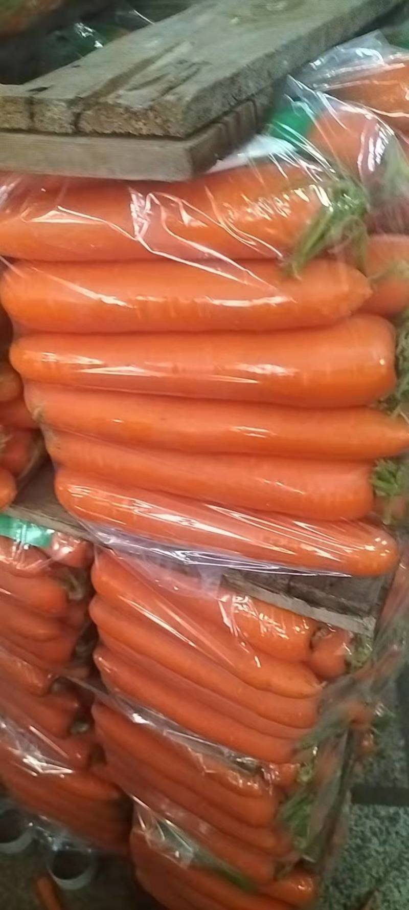 红萝卜，三红胡萝卜，一手货源，价格合理，质量好，价格优