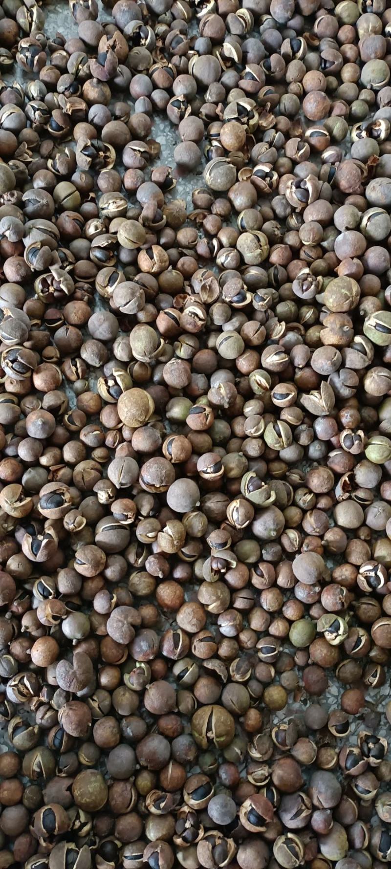山茶油，茶麸