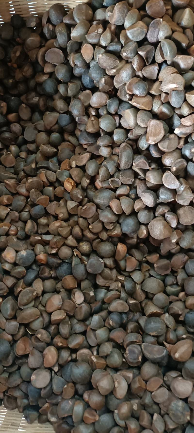 山茶油，茶麸
