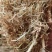 稻草，一次成型大方捆，水份安全，无土无霉变