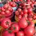 【推荐】精品硬粉西红柿热卖中产地直供货源充足质量保证