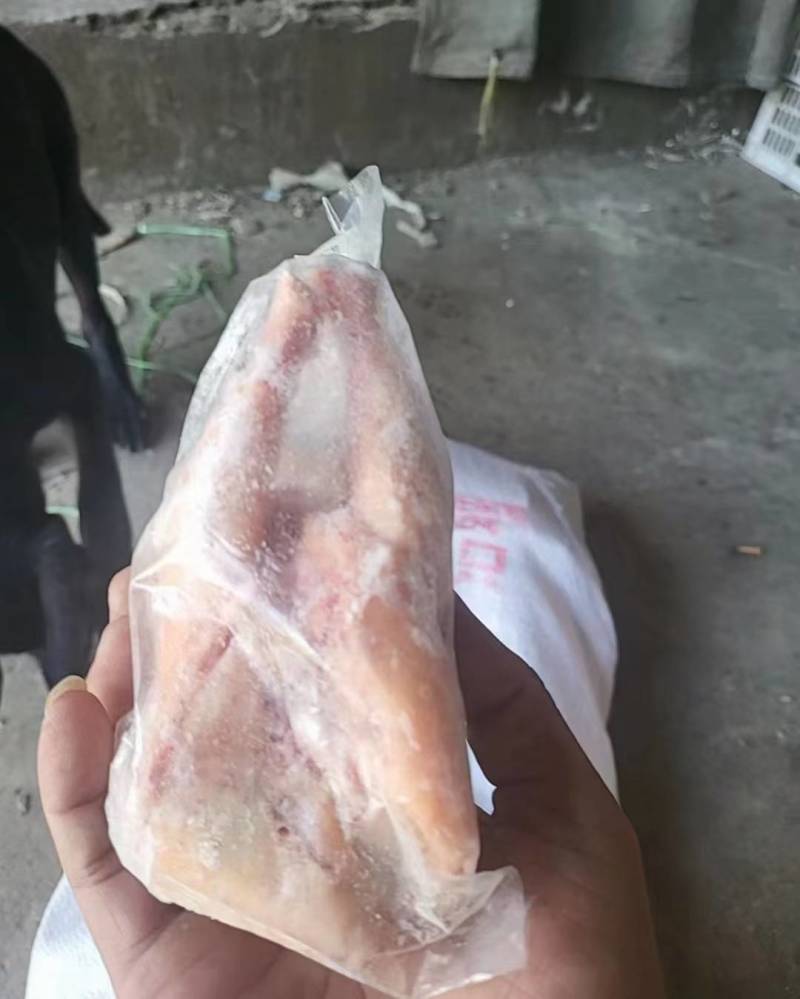 西装鸡，规格齐全14-36只都有，大厂新货