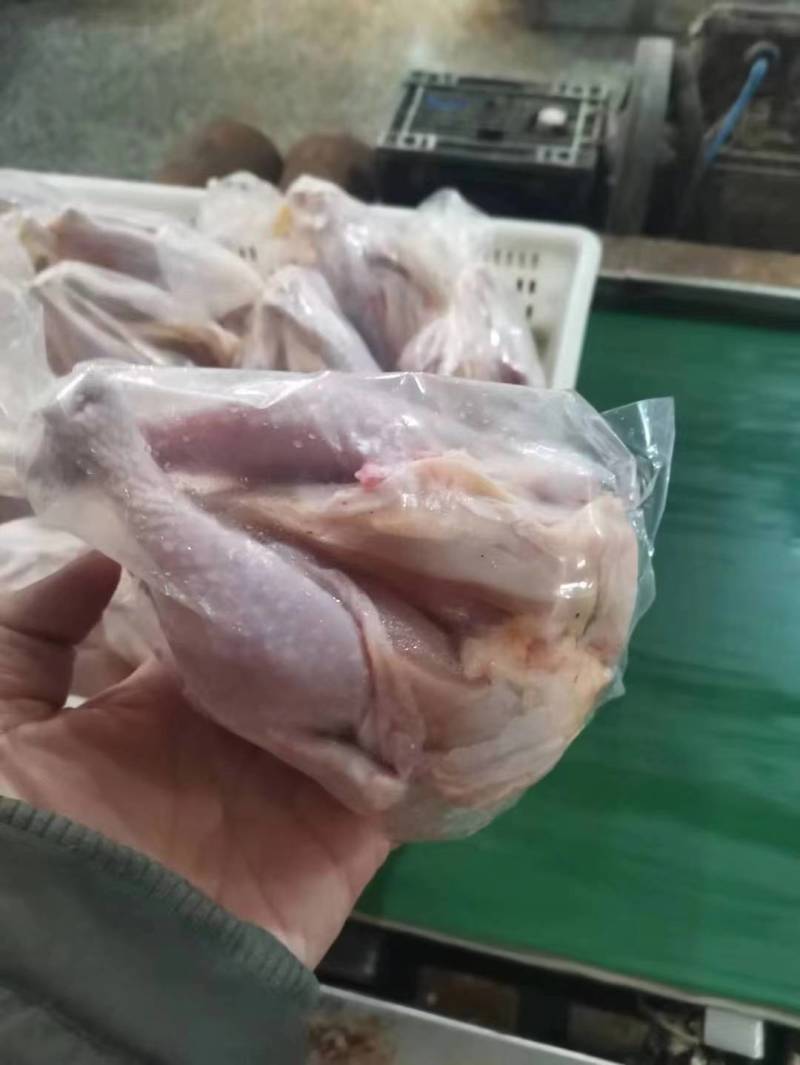 西装鸡，规格齐全14-36只都有，大厂新货