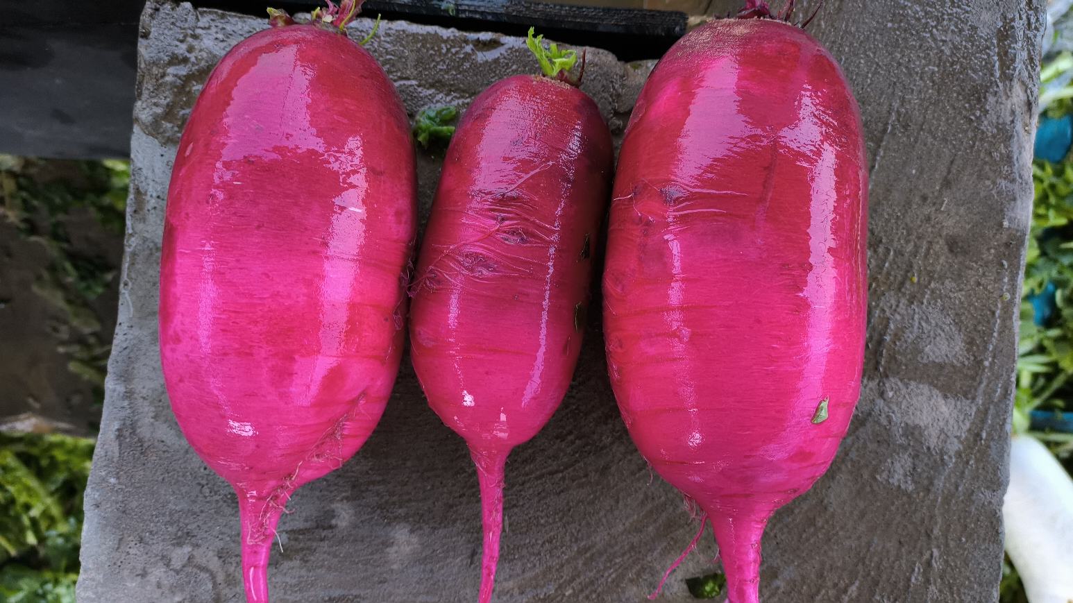 凉拌紫美人水果萝卜,摆盘精致,色彩鲜艳 凉拌紫美人水果萝卜