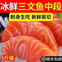 三文鱼冰鲜三文鱼中段日料生吃去边料鲜活速冻发货去皮去骨