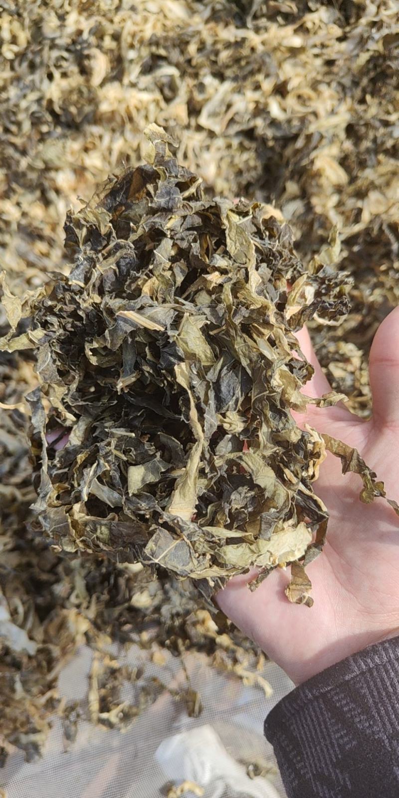 【精选】水洗无沙无泥梅干菜大量现货供应产地一手货源直发
