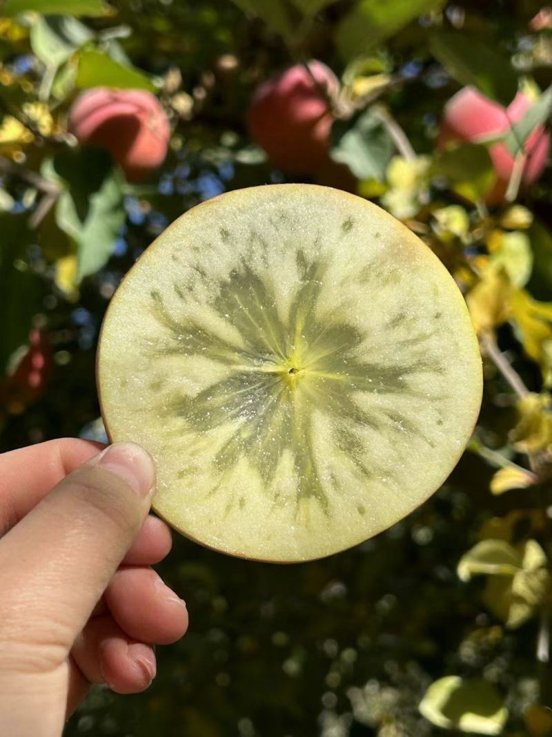 阿克苏冰糖心苹果福利价买一箱送一箱80大果一件代发