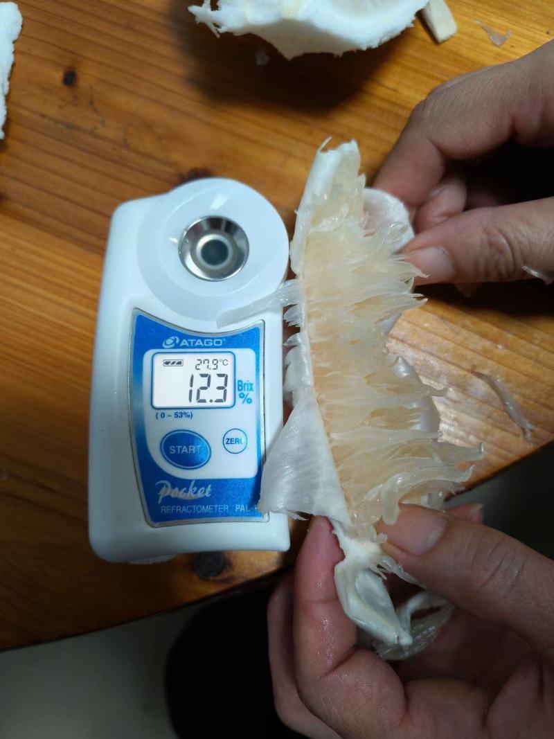 《热卖中》广西优质沙田柚水分多口感好甜度高可视频