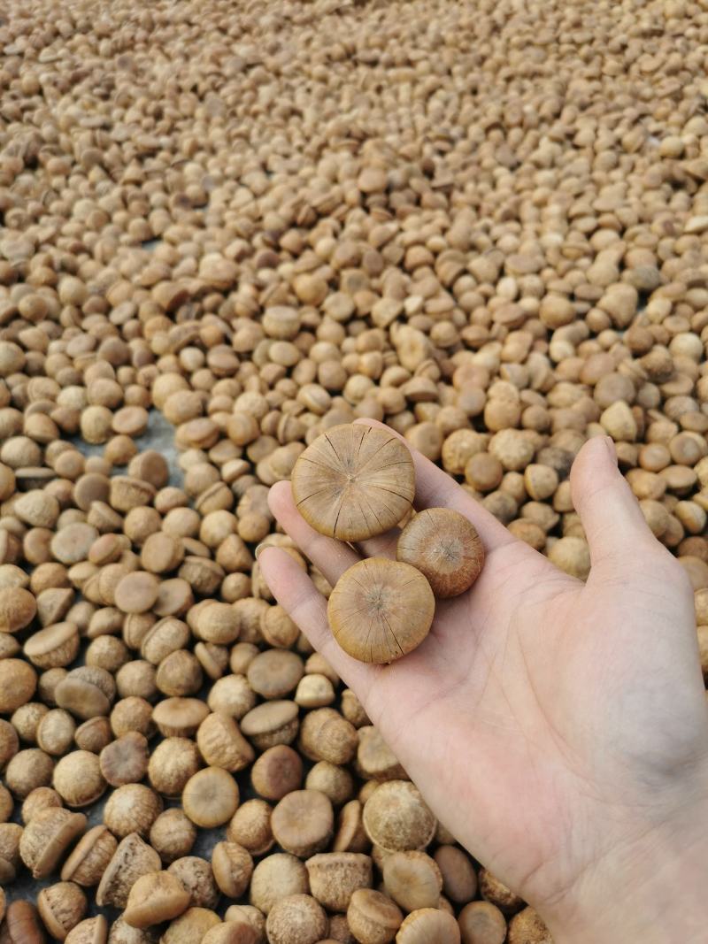 野生风流果足干