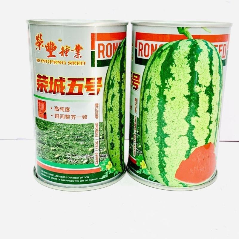 荣城五号西瓜种子抗病高产花皮椭圆西瓜双红瓤沙瓤糖度高大田