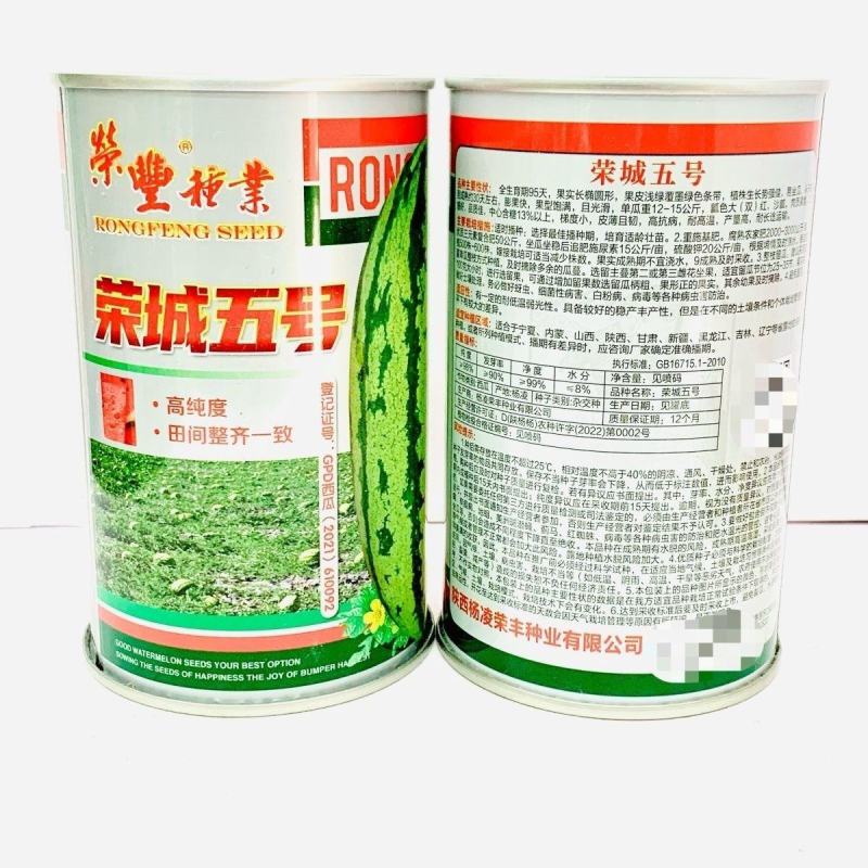 荣城五号西瓜种子抗病高产花皮椭圆西瓜双红瓤沙瓤糖度高大田