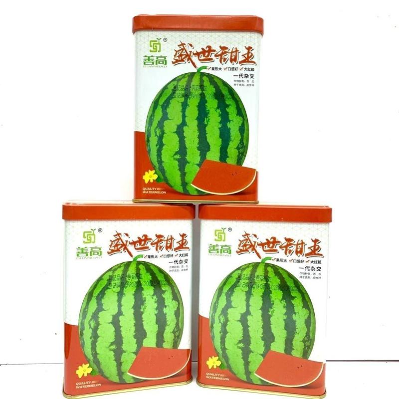 善高盛世甜王西瓜种子高产早熟抗病杂交一代大红瓤西瓜种籽大