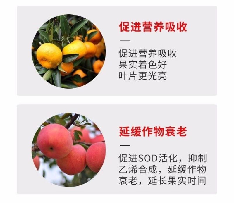 17%唑醚氟环唑整箱批发价格优惠