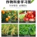 17%唑醚氟环唑整箱批发价格优惠