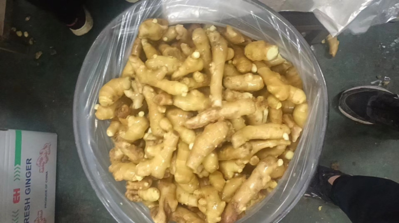 老姜生姜大黄姜小黄姜产地货源，电商一件代发，批发市场均可