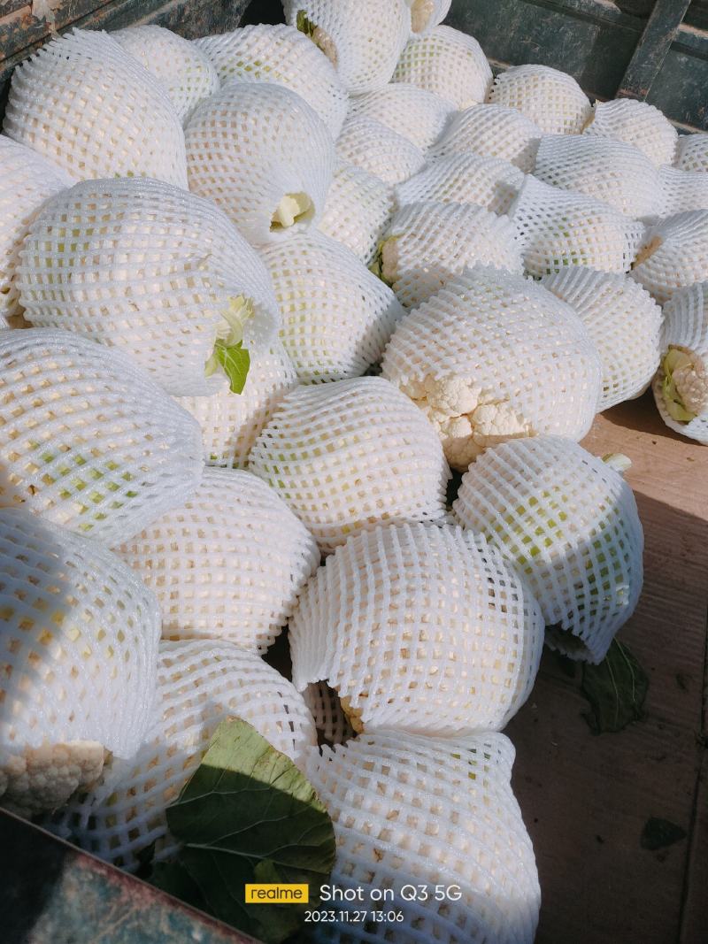 菜花