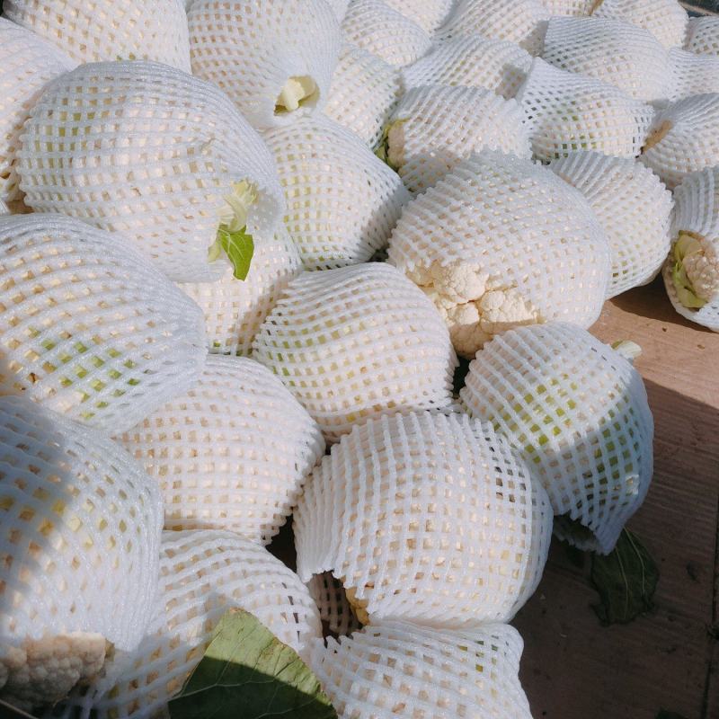 菜花