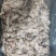 鳕鱼肉鳕鱼碎肉无骨鳕鱼肉厂家批发