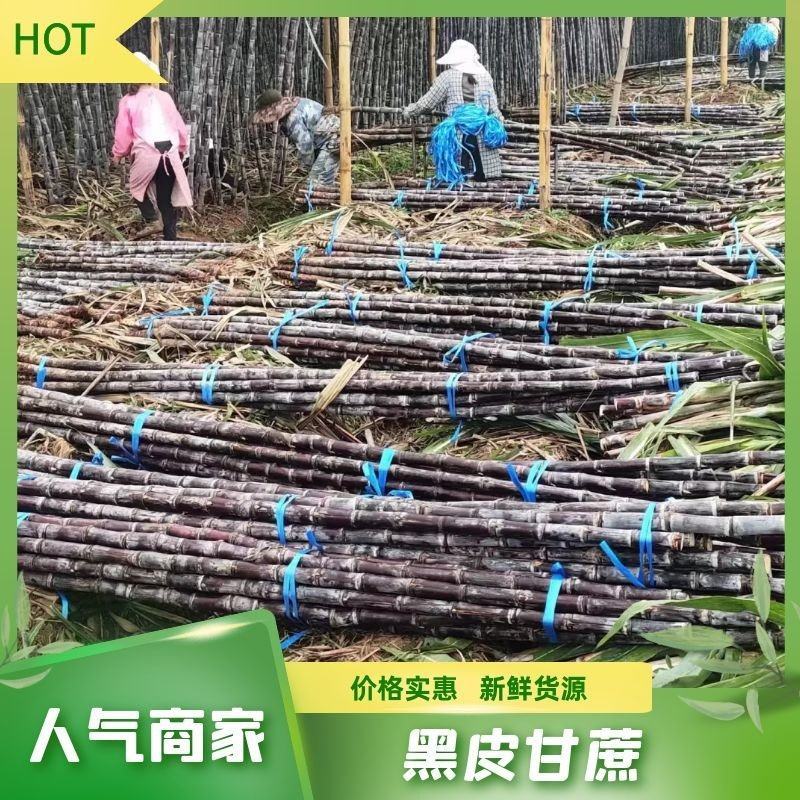 【实力】云南黑皮甘蔗，产地一手货源，供应全国