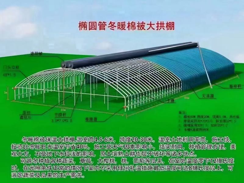 天津蔬菜大棚暖棚农用大棚一手货源生产厂家直发欢迎电联