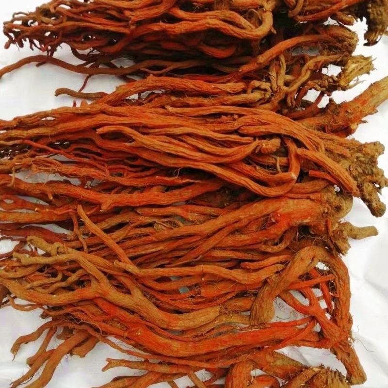 手选紫花丹参煲汤根红血参泡茶山东丹参籽红根草