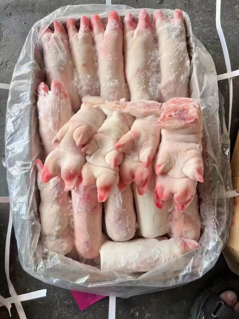 猪手优质猪蹄大量有货品质保障全国发货欢迎咨询