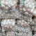 山东金乡大蒜量大从优品质保证产地直发量大从优欢迎来电联系