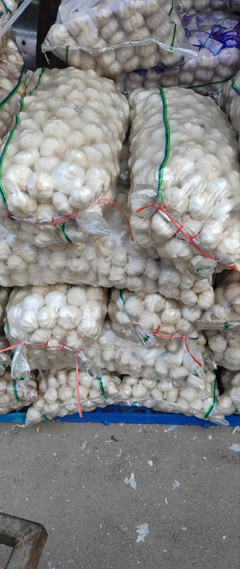 山东金乡大蒜量大从优品质保证产地直发量大从优欢迎来电联系