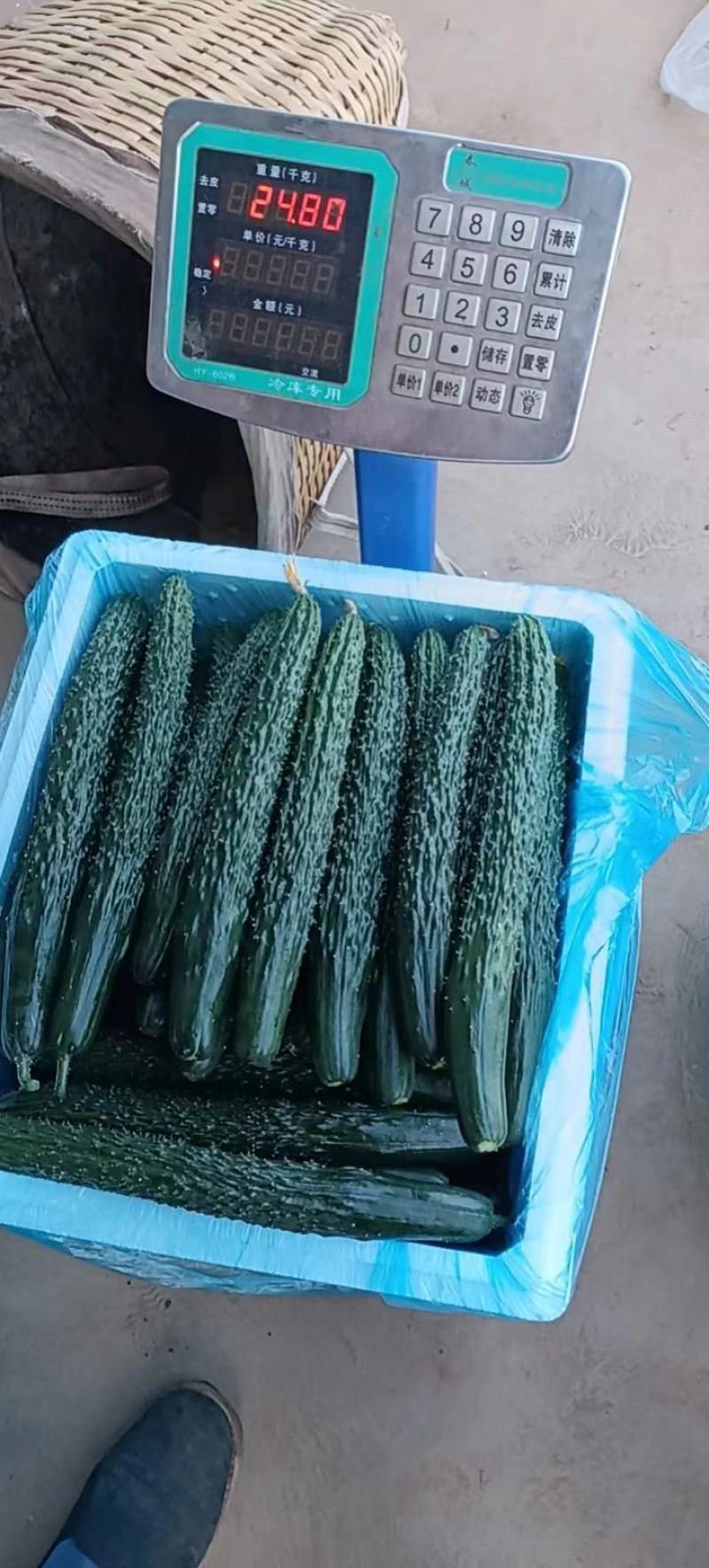 精品黄瓜