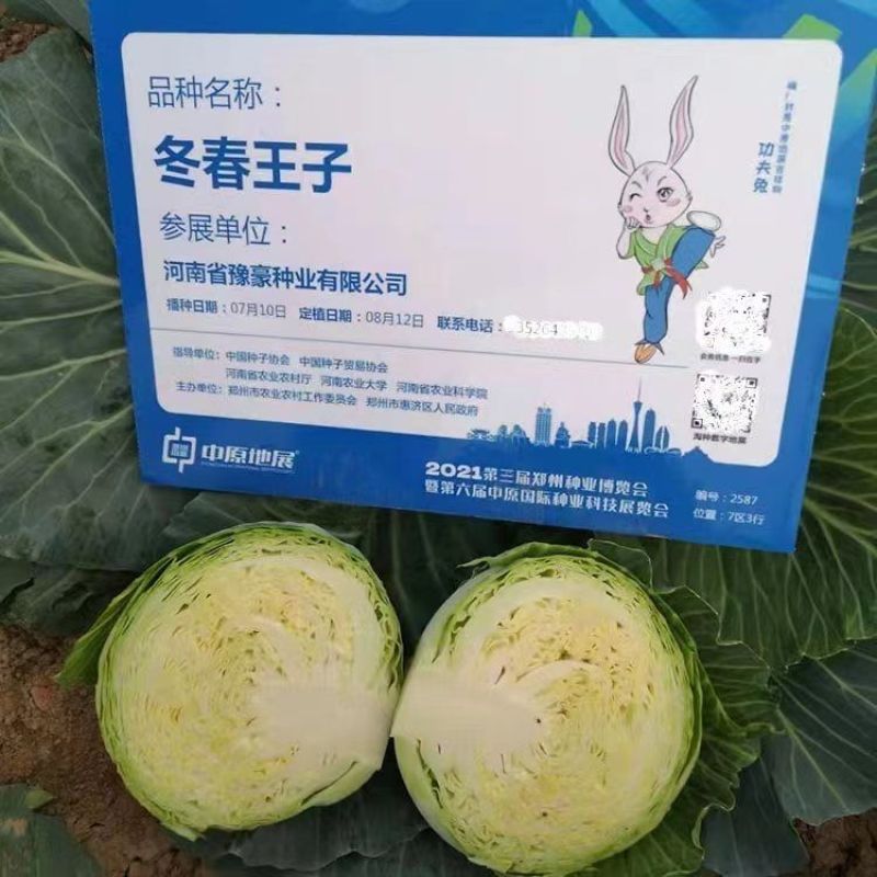 冬春王子越冬型甘蓝种子耐寒越冬包心菜抗病高产抗雪耐裂球露