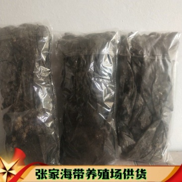 干海带海带干海带皮海带代加工海带支持电商预定海带干