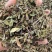 中药材猫须草肾茶批发零售保证质量