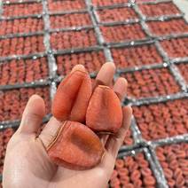 广西桂林吊饼优质柿子饼源头加工厂柿饼基地直发一手货源便宜