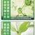 24表芸苔素内酯·S诱抗素植物生长调节剂保花保果生根壮