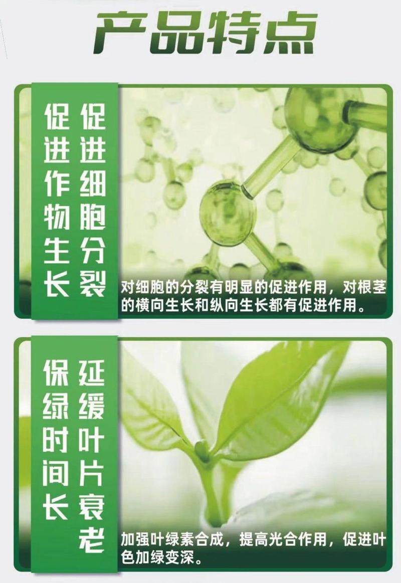 24表芸苔素内酯·S诱抗素植物生长调节剂保花保果生根壮