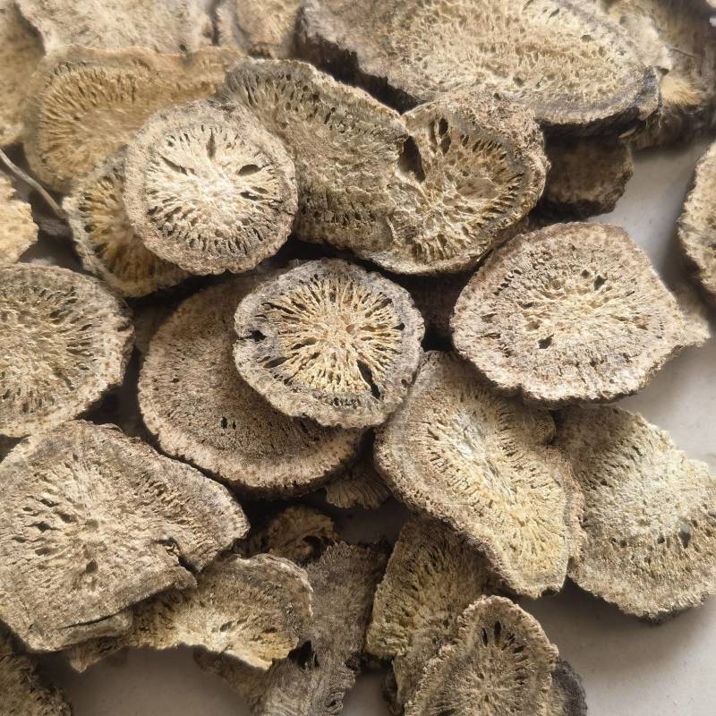 木香云木香新货选关书药业批发中药材