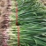 基地货源大量现货需要的联系我