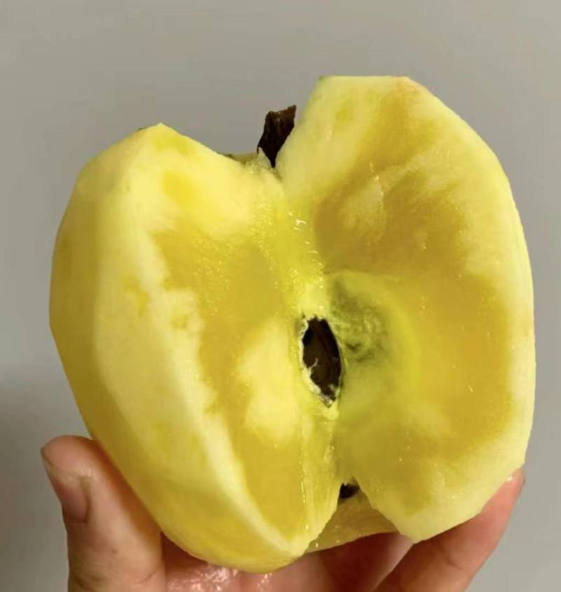 精品苹果昭通红富士苹果货源充足量大从优现摘现发欢迎咨询