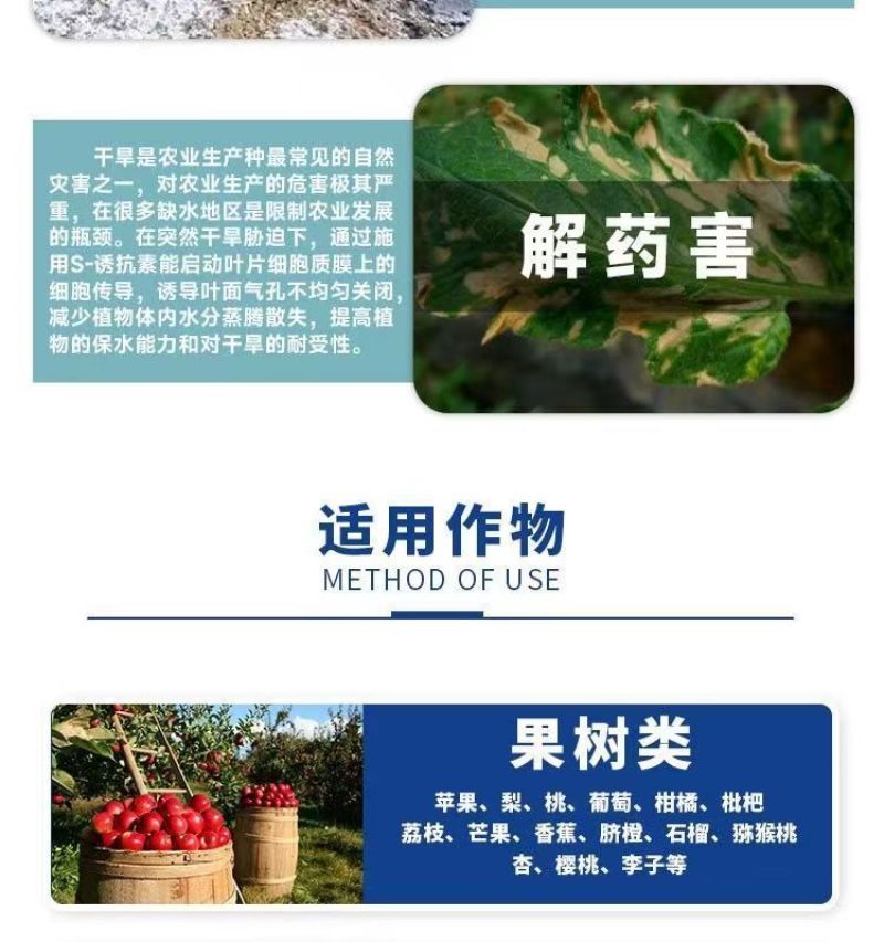 24表芸苔素内酯·S诱抗素植物生长调节剂保花保果生根壮