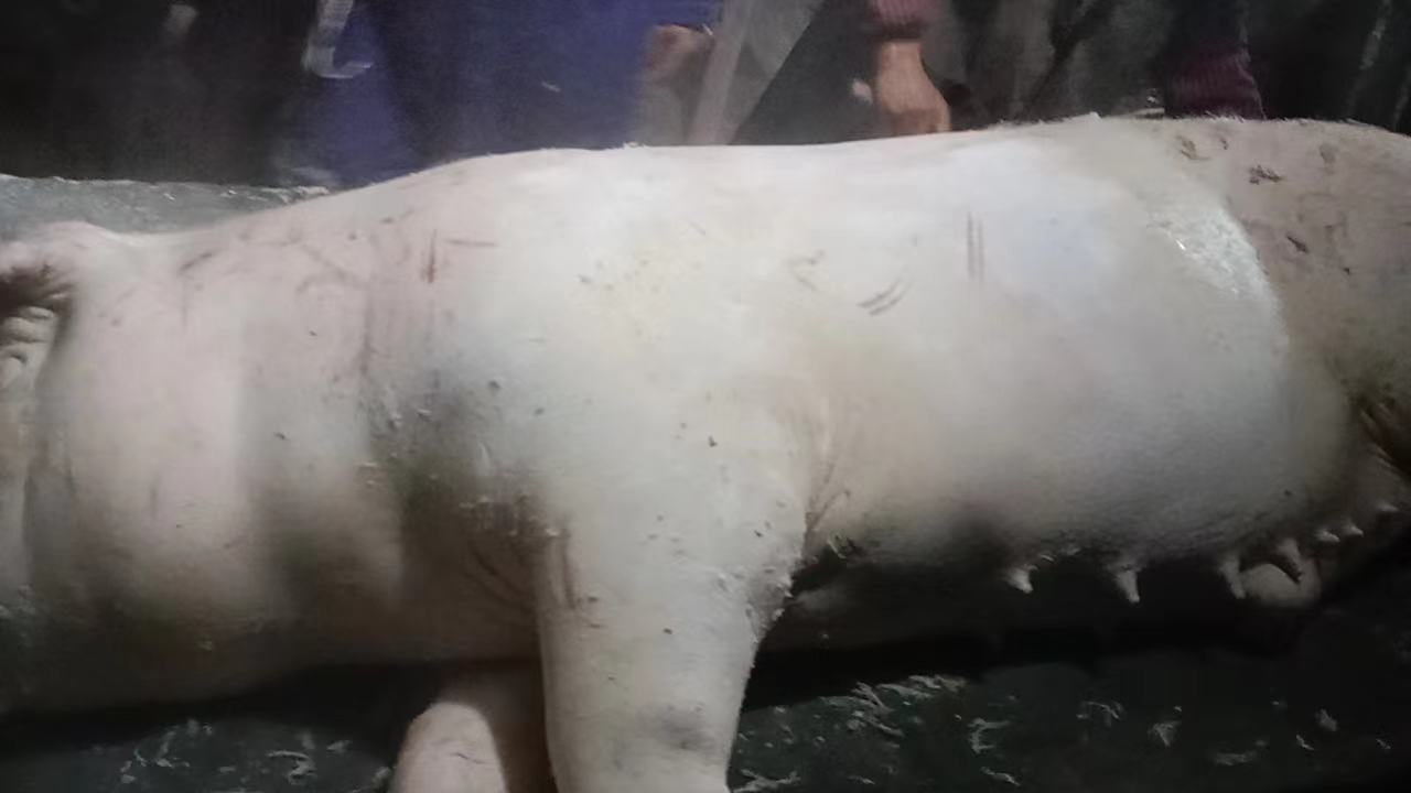 展示腌制肉类的过程,包括调料混合、涂抹腌料、密封冷藏等步骤 腌制肉类过程图