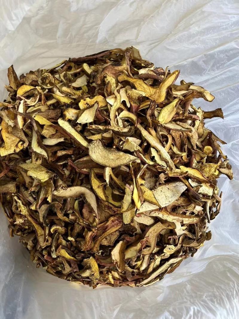 野生红葱牛肝菌红葱菌见手青菌云南野生菌干货干片