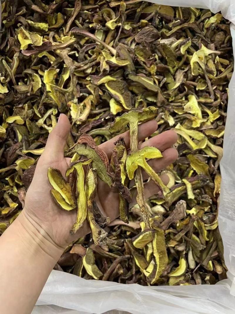 野生红葱牛肝菌红葱菌见手青菌云南野生菌干货干片