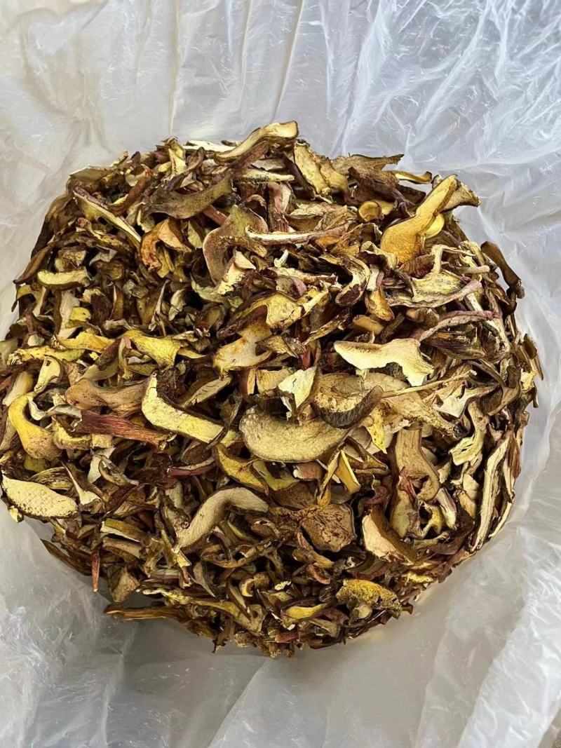 野生红葱牛肝菌红葱菌见手青菌云南野生菌干货干片