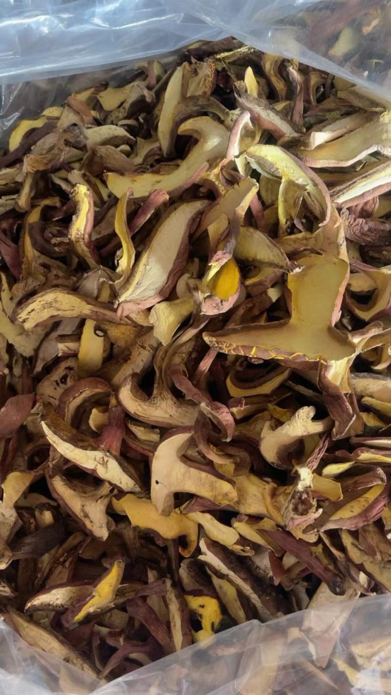 野生红葱牛肝菌红葱菌见手青菌云南野生菌干货干片