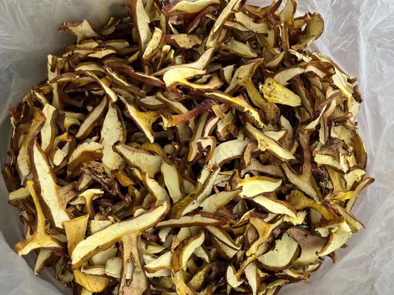 野生红葱牛肝菌红葱菌见手青菌云南野生菌干货干片