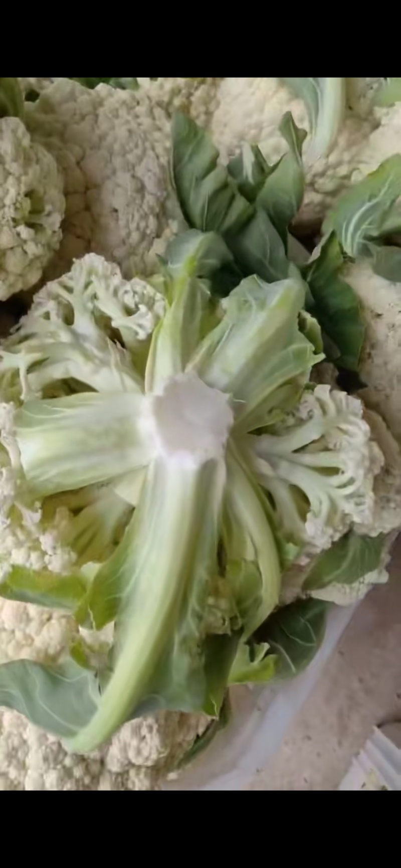 热卖花菜，松花，散花菜。四川当地80天小米花