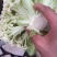 热卖花菜，松花，散花菜。四川当地80天小米花