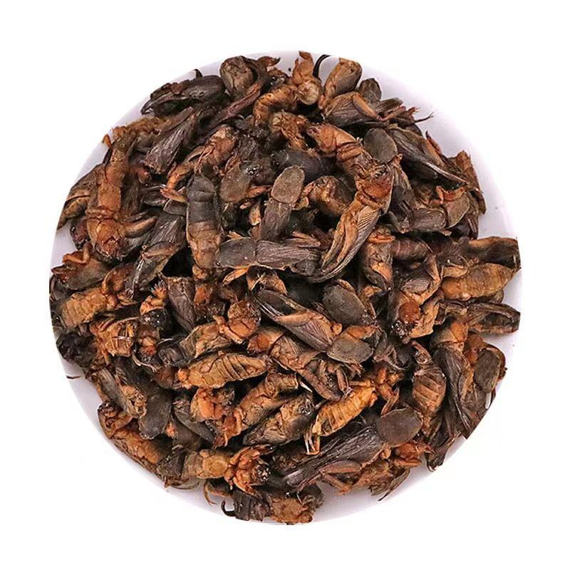 蝼蛄中药材批发新货土狗地狗蝲蝲蛄整只另有蟋蟀五谷虫